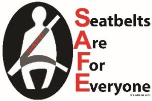 Seatbelts Are For Everyone