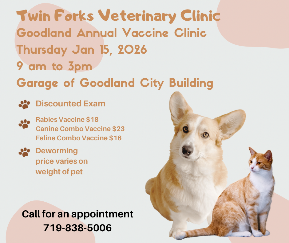 2026 Vet Clinic