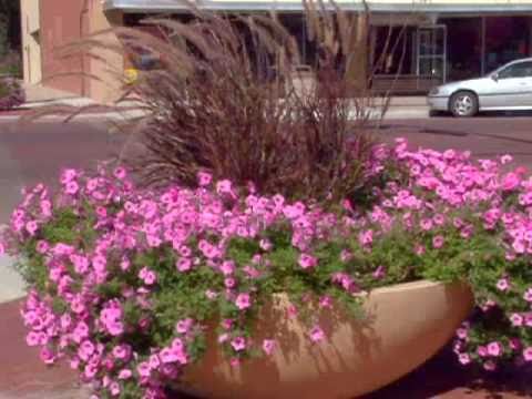 Planters