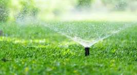 Sprinkler